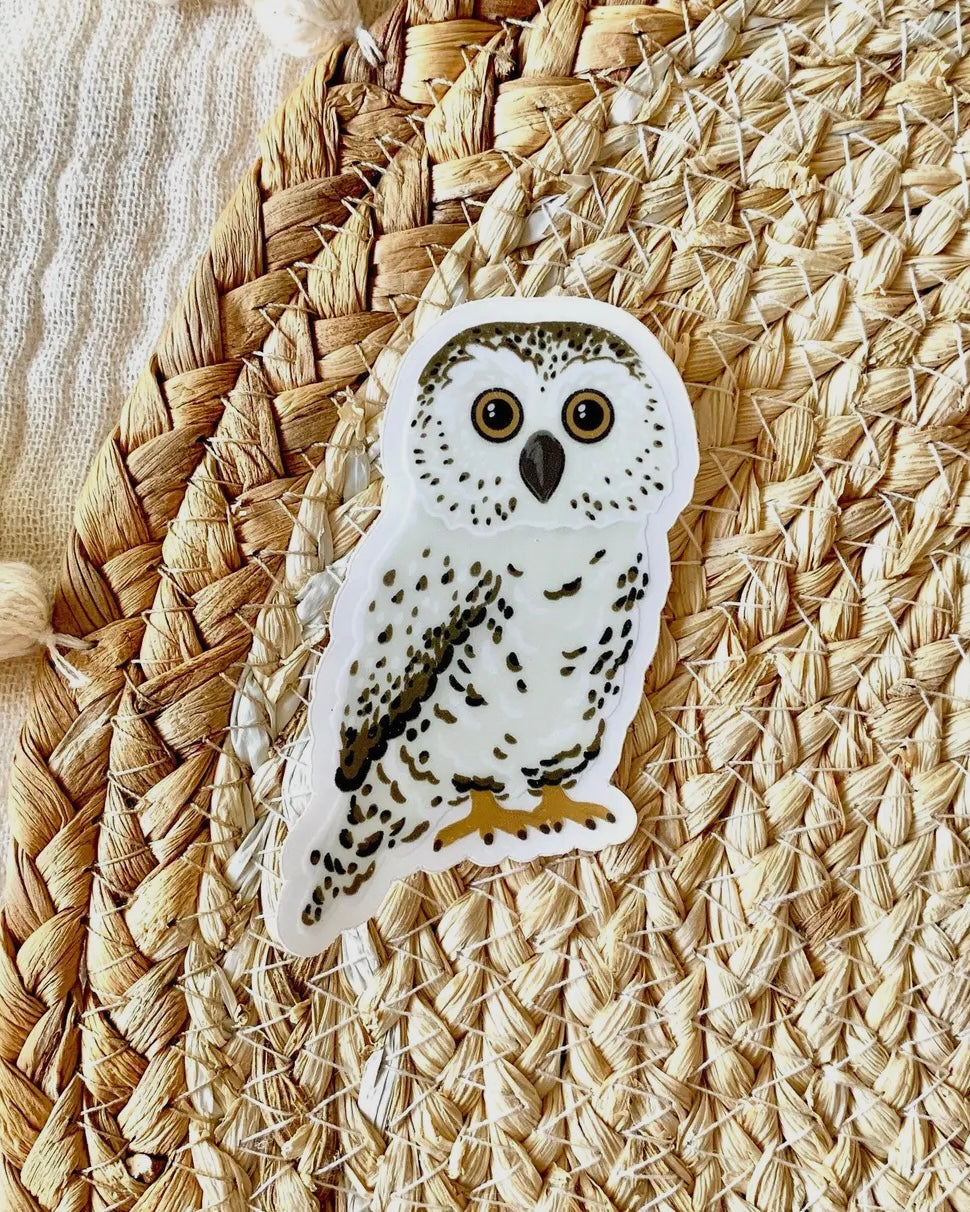 Snowy Owl Sticker