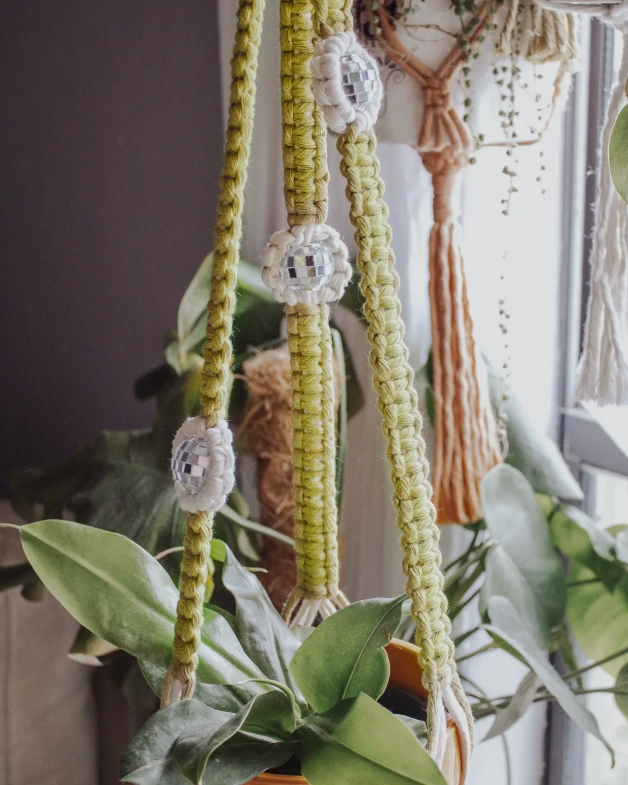 Disco Daisy Plant Hanger