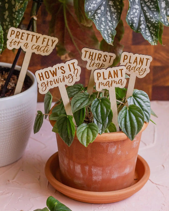 Funny Wooden Plant Markers