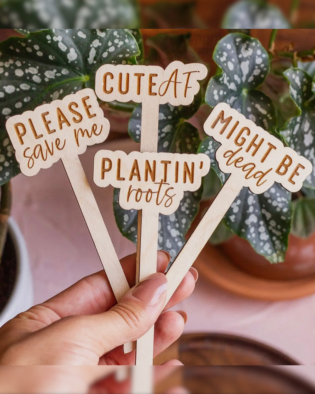 Funny Wooden Plant Markers