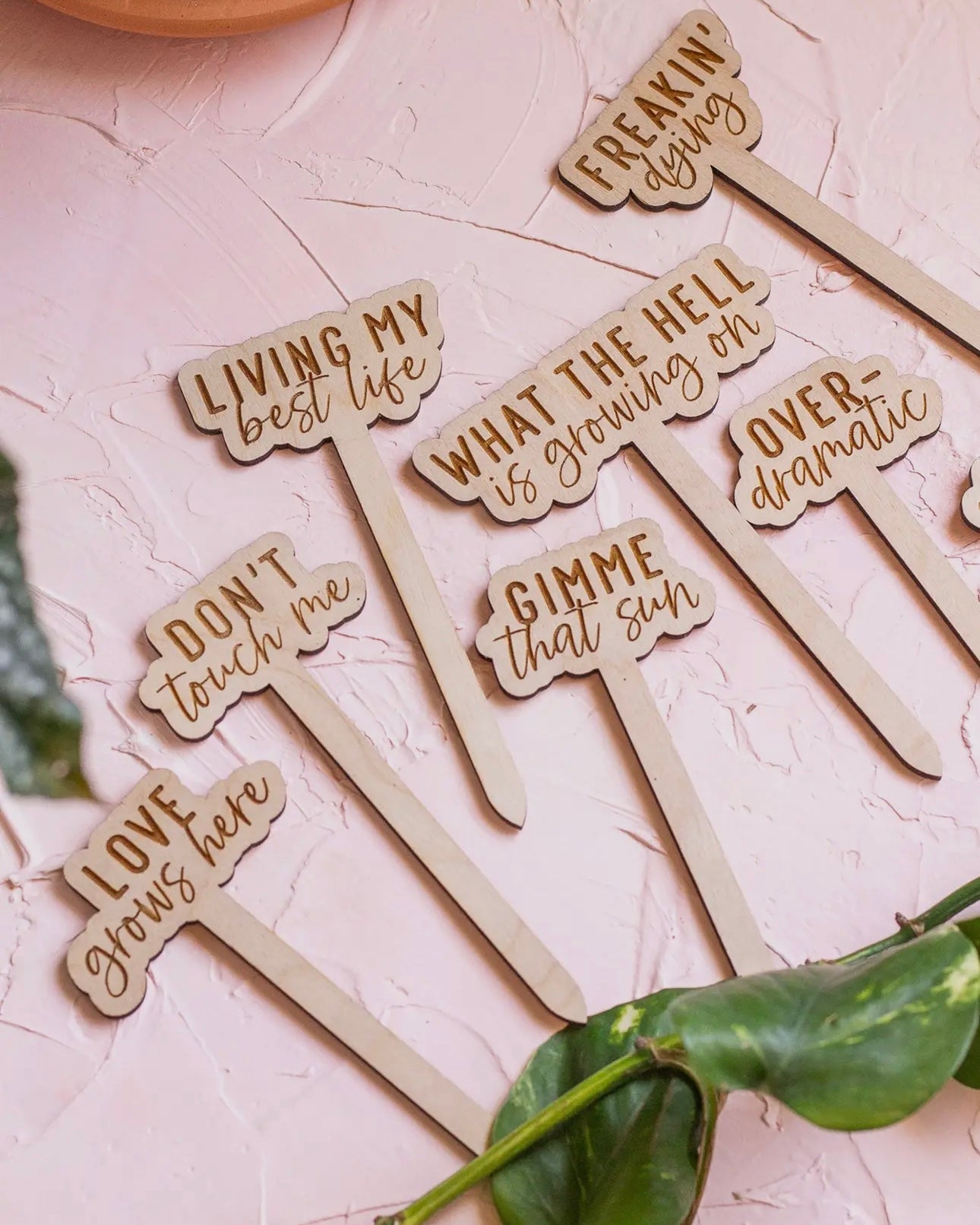 Funny Wooden Plant Markers