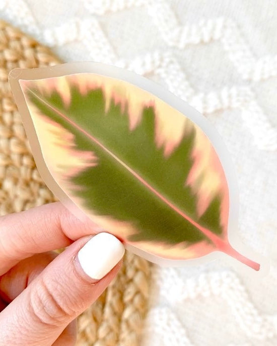 Leafy Daydream Sticker