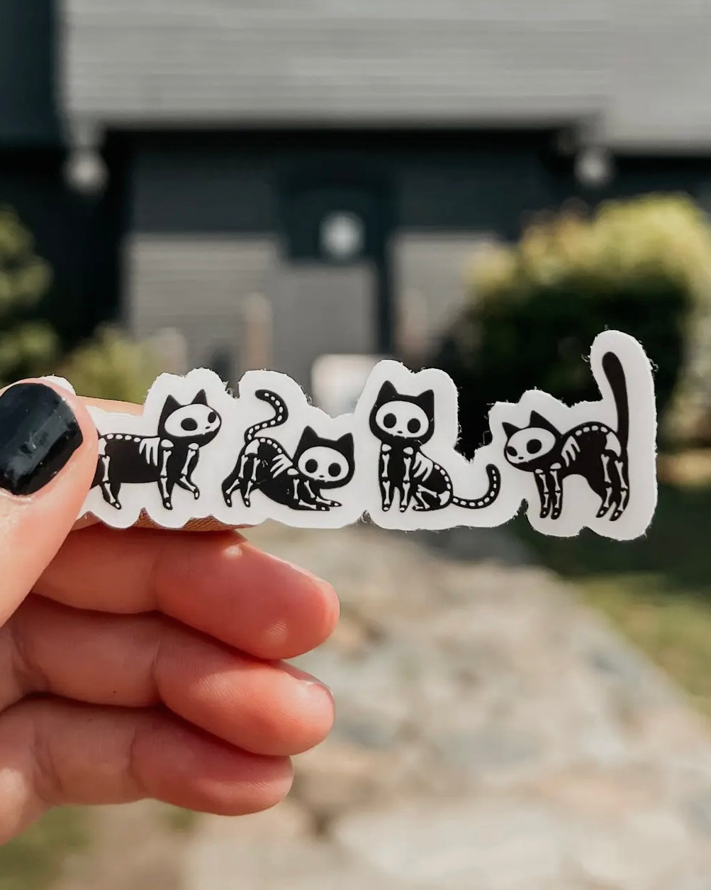 Cat Skelly Sticker