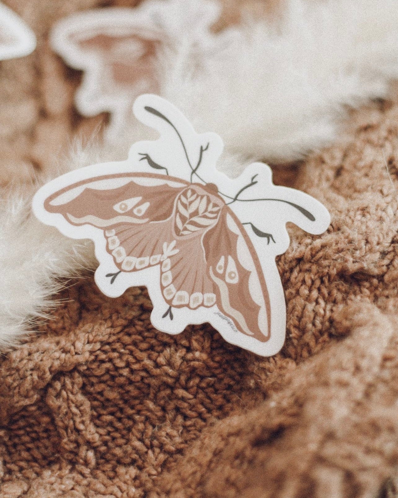 Moth Sticker