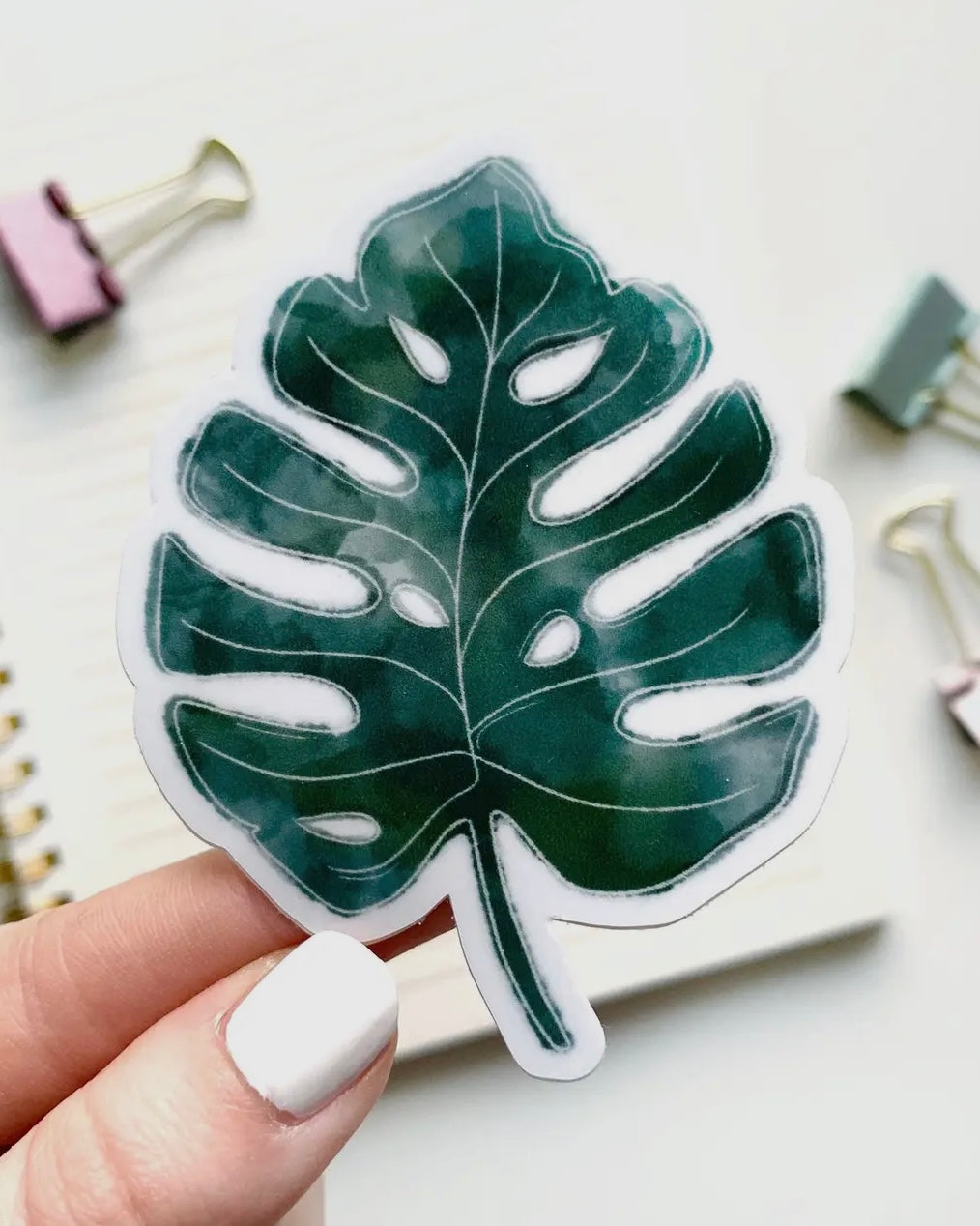 Monstera Sticker