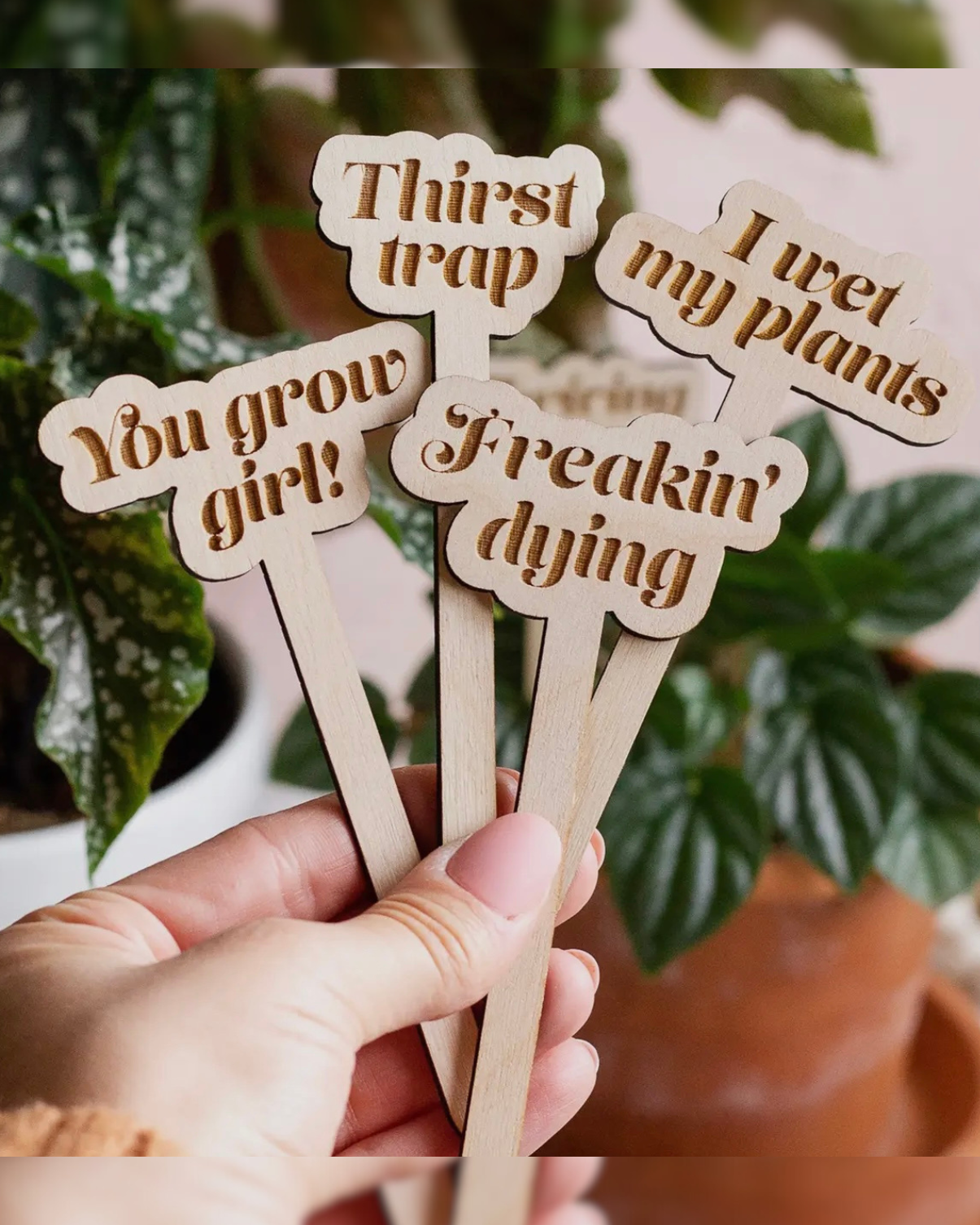 Punny Wooden Plant Markers