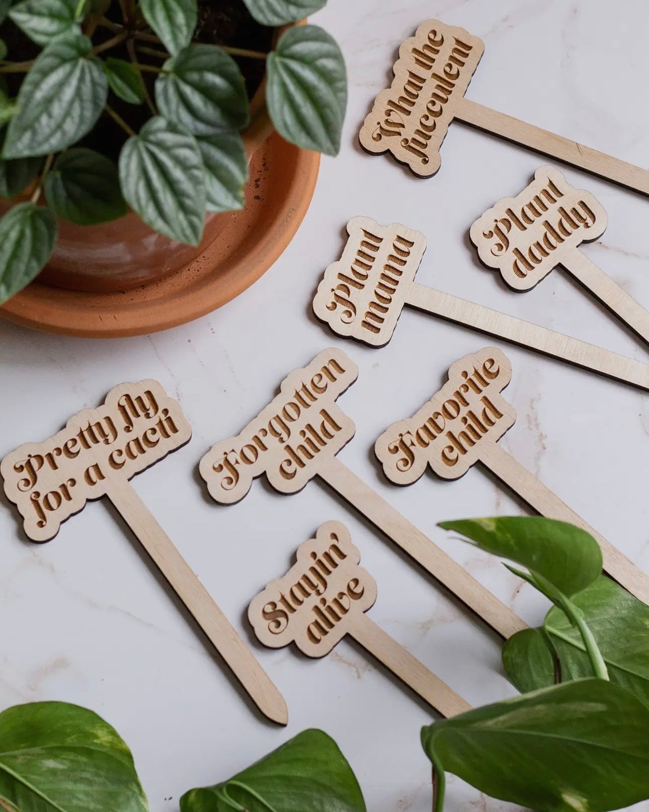 Punny Wooden Plant Markers